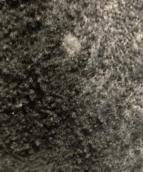 EMPORIO ARMANI（エンポリオアルマーニ）EMPORIO ARMANI (エンポリオアルマーニ) レザーボアジャケット ブラック サイズ:50の古着・服飾アイテム