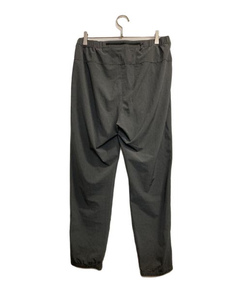 THE NORTH FACE（ザ ノース フェイス）THE NORTH FACE (ザ ノース フェイス) FLEXIBLE ANKLE PANT/ フレキシブルアンクルパンツ グレー サイズ:Ｌの古着・服飾アイテム