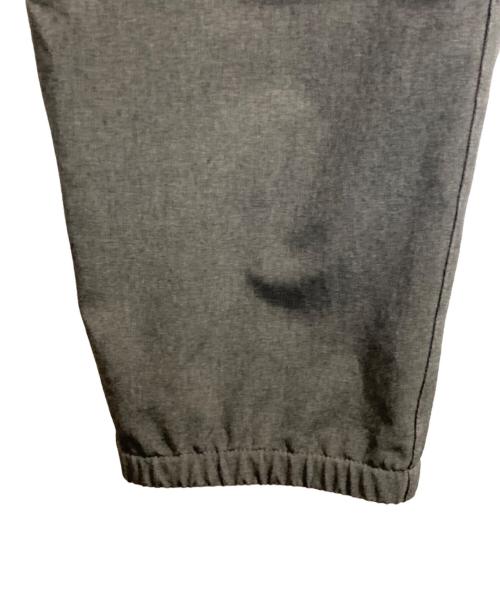 THE NORTH FACE（ザ ノース フェイス）THE NORTH FACE (ザ ノース フェイス) FLEXIBLE ANKLE PANT/ フレキシブルアンクルパンツ グレー サイズ:Ｌの古着・服飾アイテム