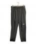 THE NORTH FACE（ザ ノース フェイス）の古着「FLEXIBLE ANKLE PANT/ フレキシブルアンクルパンツ」｜グレー