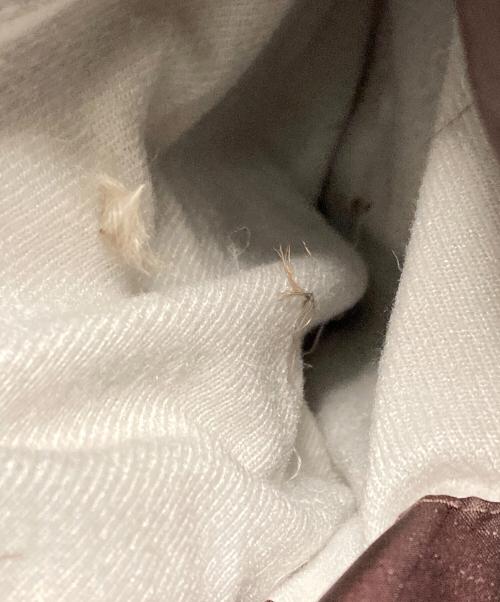 Patagonia（パタゴニア）Patagonia (パタゴニア) ダウンジャケット ブラウン サイズ:Mの古着・服飾アイテム