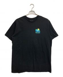 Patagonia（パタゴニア）の古着「REEF WINDS RESPONSIBILI TEE」｜ブラック