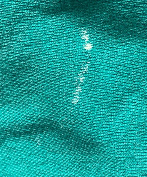 Champion REVERSE WEAVE（チャンピオン リバース ウィーブ）Champion REVERSE WEAVE (チャンピオン リバース ウィーブ) ロゴスウェット グリーン サイズ:Ｌの古着・服飾アイテム