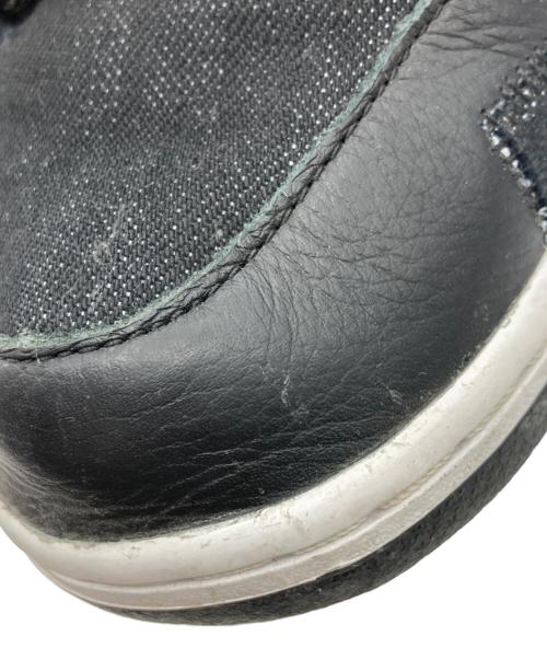 NIKE SB（ナイキエスビー）NIKE SB (ナイキエスビー) WASTED YOUTH (ウエステッド ユース) Dunk Low 