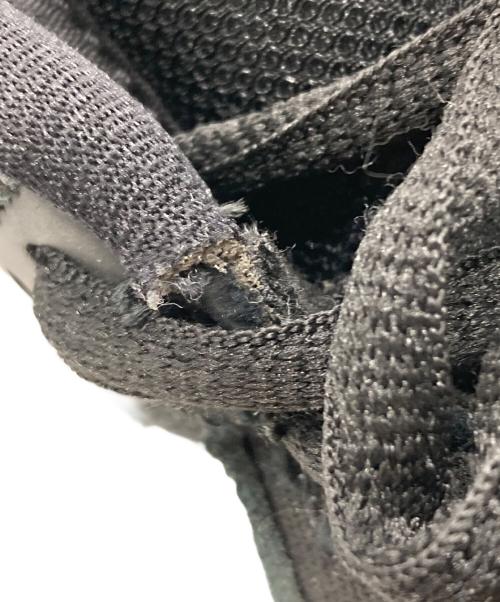 NIKE SB（ナイキエスビー）NIKE SB (ナイキエスビー) WASTED YOUTH (ウエステッド ユース) Dunk Low 