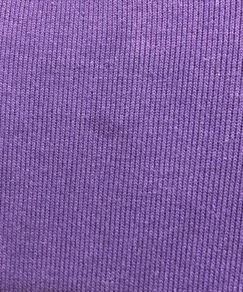 POLO RALPH LAUREN（ポロ・ラルフローレン）POLO RALPH LAUREN (ポロ・ラルフローレン) ハーフジップスウェット パープル サイズ:Ｌの古着・服飾アイテム