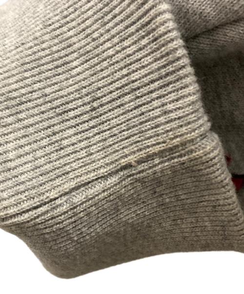 SUPREME（シュプリーム）SUPREME (シュプリーム) 22FW Elephant Hooded Sweatshirt グレー サイズ:Ｌの古着・服飾アイテム