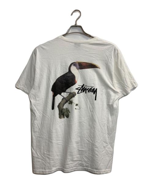 stussy（ステューシー）stussy (ステューシー) Tシャツ ホワイト サイズ:Lの古着・服飾アイテム