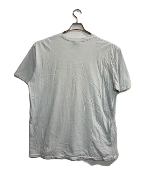 stussy（ステューシー）stussy (ステューシー) 半袖カットソー ホワイト サイズ:Lの古着・服飾アイテム