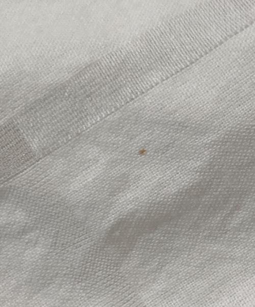 SOPHNET.（ソフネット）SOPHNET. (ソフネット) SHEER CHECK B.D SHIRT ホワイト サイズ:Ｌの古着・服飾アイテム