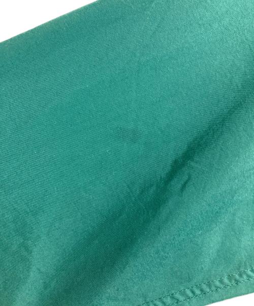 THE NORTH FACE（ザ ノース フェイス）THE NORTH FACE (ザ ノース フェイス) マウンテンパーカー グリーン サイズ:Ｌの古着・服飾アイテム