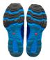 SALOMONの古着・服飾アイテム：4000円
