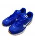 NIKE（ナイキ）の古着「Initiator」｜ブルー