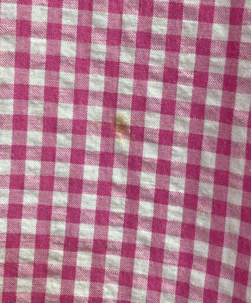 POLO RALPH LAUREN（ポロ・ラルフローレン）POLO RALPH LAUREN (ポロ・ラルフローレン) S/Sギンガムチェックシャツ ピンク サイズ:ＸＳの古着・服飾アイテム