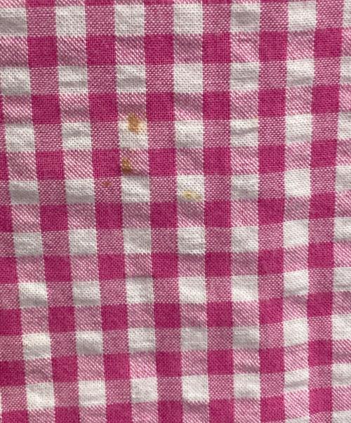 POLO RALPH LAUREN（ポロ・ラルフローレン）POLO RALPH LAUREN (ポロ・ラルフローレン) S/Sギンガムチェックシャツ ピンク サイズ:ＸＳの古着・服飾アイテム