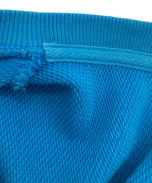 Champion（チャンピオン）Champion (チャンピオン) reverseweave sweat shirts ブルー サイズ:Ｍの古着・服飾アイテム