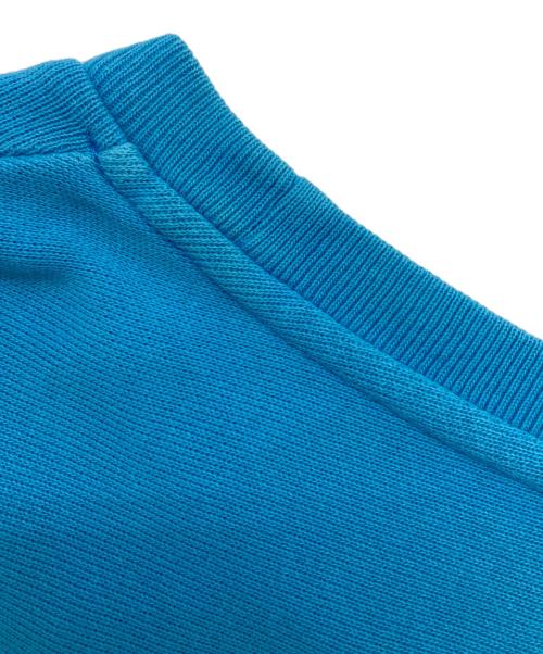 Champion（チャンピオン）Champion (チャンピオン) reverseweave sweat shirts ブルー サイズ:Ｍの古着・服飾アイテム
