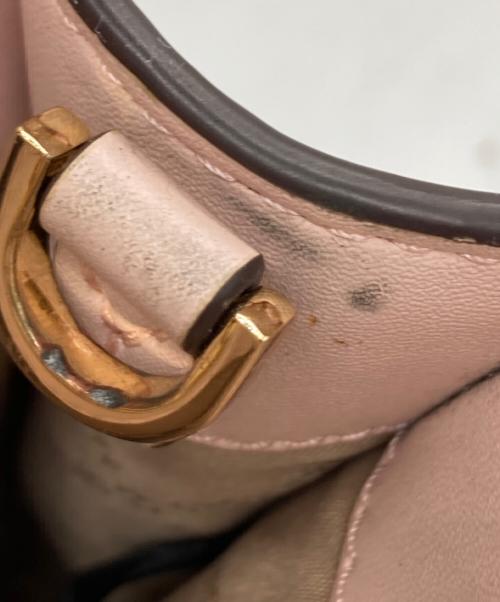 MICHAEL KORS（マイケルコース）MICHAEL KORS (マイケルコース) ミニクロスボディバッグ ピンクの古着・服飾アイテム