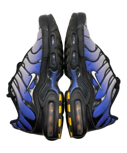 NIKE（ナイキ）NIKE (ナイキ) AIR MAX PLUS ブルー サイズ:US8の古着・服飾アイテム