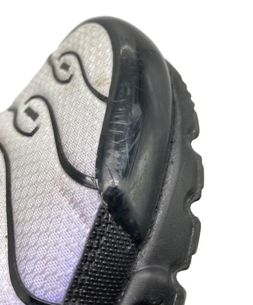 NIKE（ナイキ）NIKE (ナイキ) AIR MAX PLUS ブルー サイズ:US8の古着・服飾アイテム