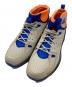 NIKE ACG（ナイキエーシージー）の古着「Air Mowabb 