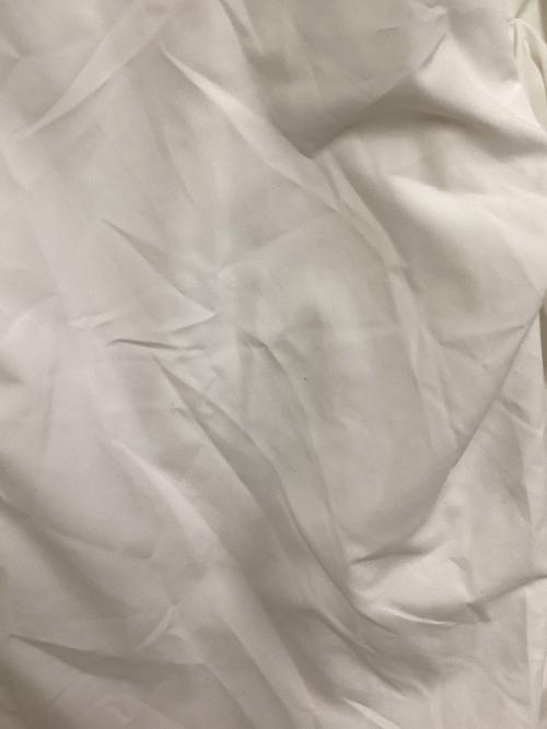 rosy monster（ロージーモンスター）rosy monster (ロージーモンスター) ボリュームスリーブブラウス ホワイト サイズ:SIZE Freeの古着・服飾アイテム