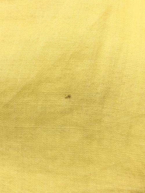 Demi-Luxe Beams（デミルクス ビームス）Demi-Luxe BEAMS (デミルクス ビームス) ラミー ロングスカート イエロー サイズ:記載なしの古着・服飾アイテム