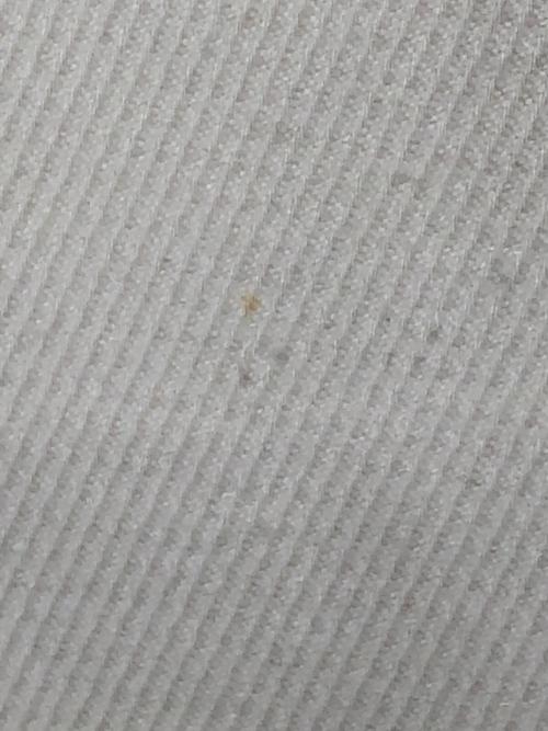 BLENHEIM（ブレンヘイム）BLENHEIM (ブレンヘイム) ブルクロスロングタイトスカート ホワイト サイズ:Sの古着・服飾アイテム