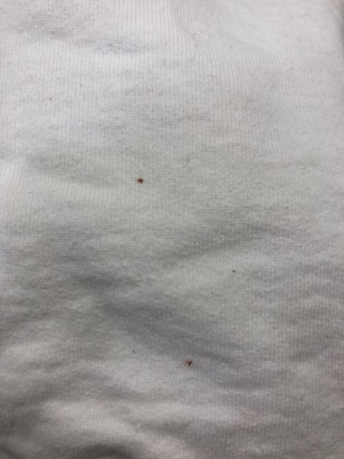 SUPREME（シュプリーム）SUPREME (シュプリーム) Small Box Hooded Sweatshirt ホワイト サイズ:Largeの古着・服飾アイテム