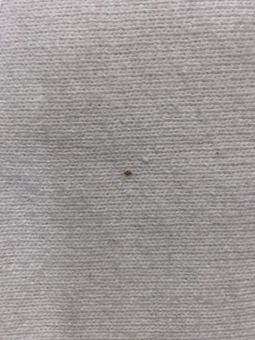 SUPREME（シュプリーム）SUPREME (シュプリーム) Small Box Hooded Sweatshirt ホワイト サイズ:Largeの古着・服飾アイテム