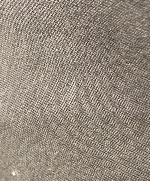 Champion（チャンピオン）Champion (チャンピオン) Reverse Weave STORMSHELL 別注ジップパーカー ブラック サイズ:Mの古着・服飾アイテム