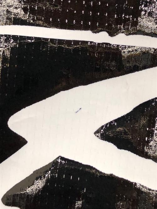 stussy（ステューシー）stussy (ステューシー) Beach Shell Coated Ripstop ブラック サイズ:Mの古着・服飾アイテム