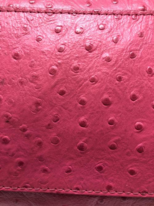 MICHAEL KORS（マイケル・コース）MICHAEL KORS (マイケルコース) オーストリッチ2WAYバッグ ピンクの古着・服飾アイテム