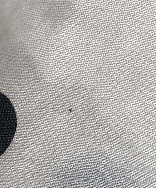 BALLSEY（ボールジィ）BALLSEY (ボールジィ) コットンシルクドットプリント ネックギャザーブラウス ベージュ サイズ:Sの古着・服飾アイテム