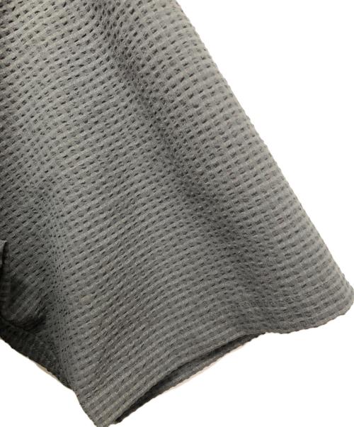 THE NORTH FACE（ザ ノース フェイス）THE NORTH FACE (ザ ノース フェイス) S/S Seersucker Vent Mesh Shirt グレー サイズ:Lの古着・服飾アイテム