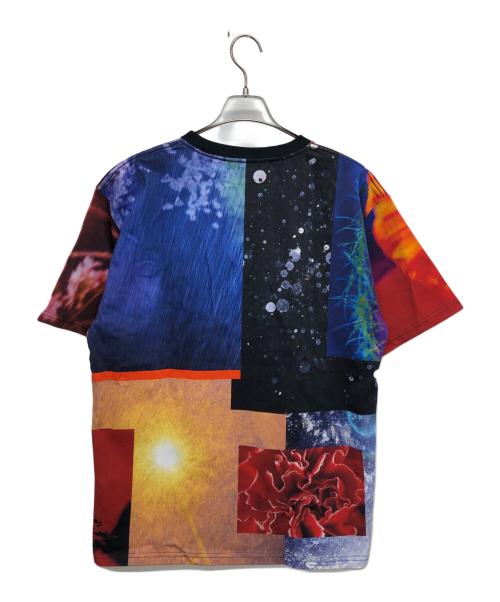 BUFFALO（バッファロー）BUFFALO (バッファロー) NINA MINAGAWA 50th Anniversary Tシャツ レッド サイズ:XLの古着・服飾アイテム