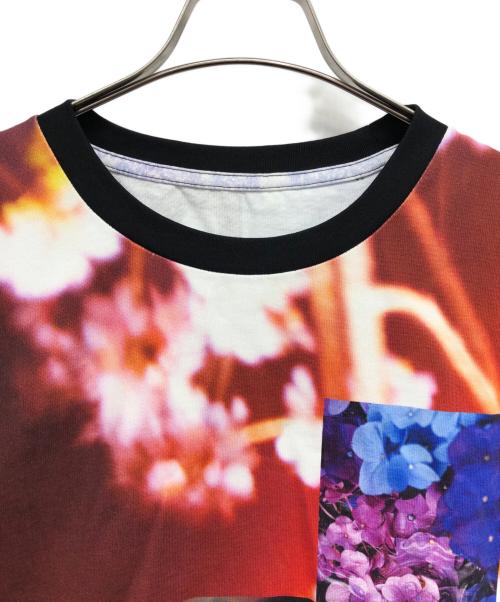 BUFFALO（バッファロー）BUFFALO (バッファロー) NINA MINAGAWA 50th Anniversary Tシャツ レッド サイズ:XLの古着・服飾アイテム