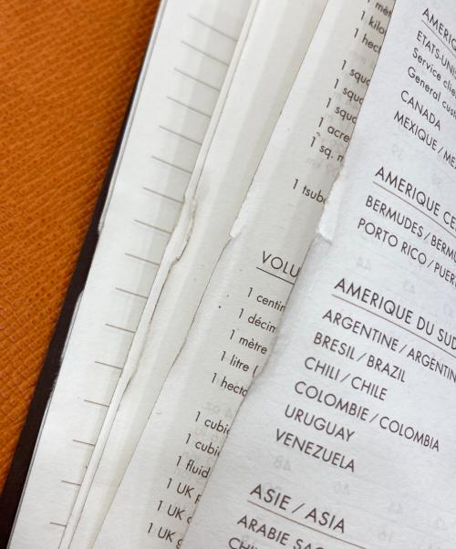 LOUIS VUITTON（ルイ ヴィトン）LOUIS VUITTON (ルイ ヴィトン) 手帳カバー オレンジの古着・服飾アイテム