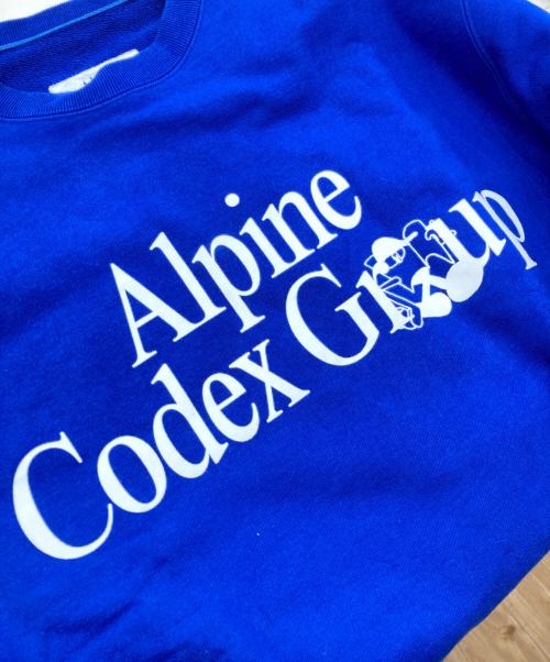 GOLDWIN（ゴールドウイン）GOLDWIN (ゴールドウイン) Alpine Codex Group Crew Neck Sweat ブルー サイズ:Lの古着・服飾アイテム