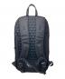 WEXLEY (ウェクスレイ) STEM BACKPACK/リュック ブラック：8000円