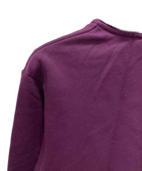 THE NORTH FACE（ザ ノース フェイス）THE NORTH FACE (ザ ノース フェイス) Rearview FULLZIP Hoodie パープル サイズ:Sの古着・服飾アイテム