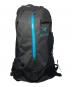 ARC'TERYX（アークテリクス）の古着「ARRO 22」｜ブラック
