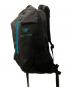 中古・古着 ARC'TERYX (アークテリクス) ARRO 22 ブラック：9000円