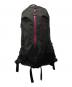 ARC'TERYX (アークテリクス) ARRO 22 ブラック：9000円