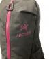 中古・古着 ARC'TERYX (アークテリクス) ARRO 22 ブラック：9000円