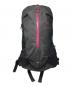 ARC'TERYX（アークテリクス）の古着「ARRO 22」｜ブラック
