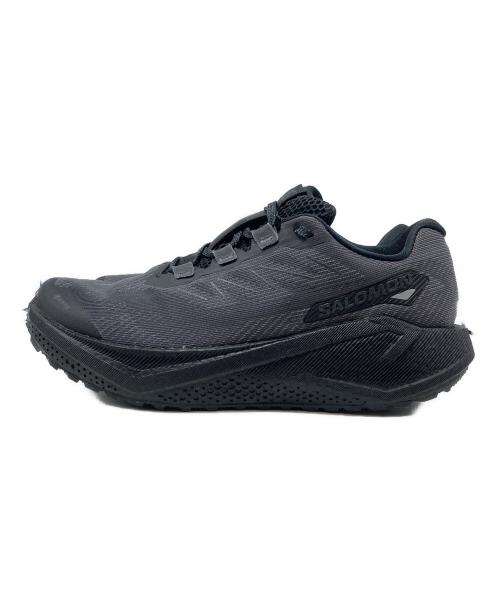 SALOMON（サロモン）SALOMON (サロモン) AERO BLAZE 3 GRVL GORE-TEX/エアロ ブレイズ 3 グラベル ゴアテックス グレー サイズ:25の古着・服飾アイテム