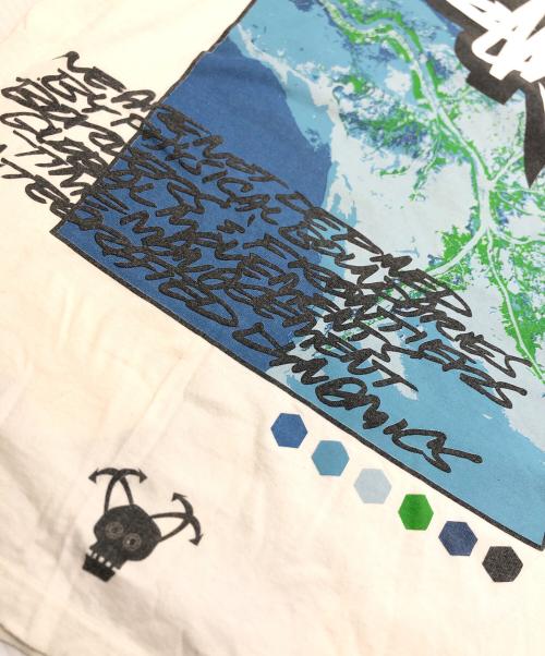 stussy（ステューシー）stussy (ステューシー) Tシャツ ホワイト サイズ:Mの古着・服飾アイテム