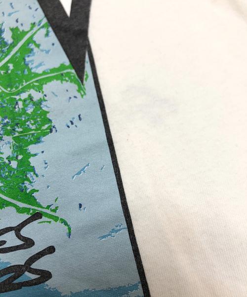 stussy（ステューシー）stussy (ステューシー) Tシャツ ホワイト サイズ:Mの古着・服飾アイテム