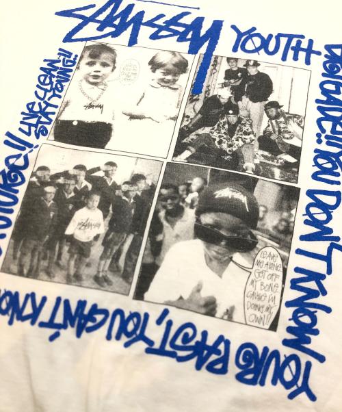 stussy（ステューシー）stussy (ステューシー) Tシャツ ホワイト サイズ:Mの古着・服飾アイテム